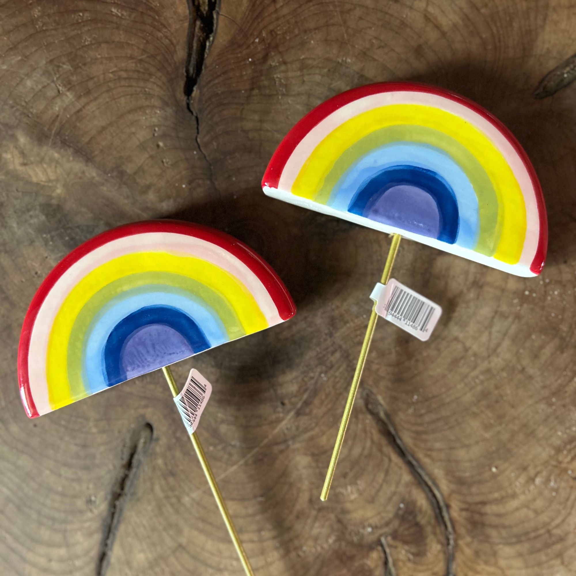 Rainbow plant stick spotted leaf plant company
